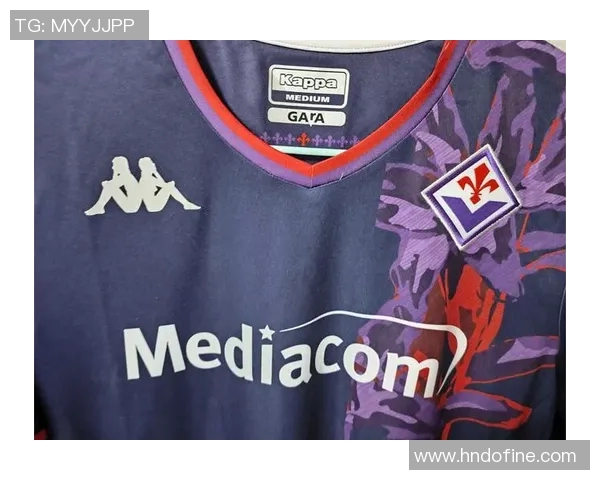 佛罗伦萨足球的荣耀与挑战：追寻紫百合的辉煌历史与未来展望